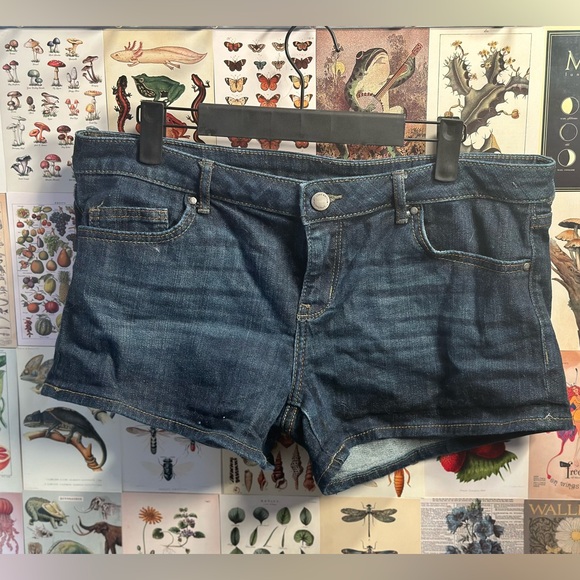 William Rast jean shorts. Size 30. Worn twice. Perfect condition. - Picture 1 of 4